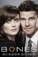 Bones Season 7 (2011) พลิกซากปมมรณะ ปี 7