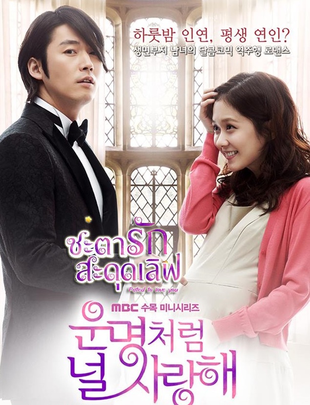 Fated to Love You / You Are My Destiny (2014) :  ชะตารัก สะดุดเลิฟ / โชคชะตาพามาปิ๊งรัก | 20 ตอน (จบ)