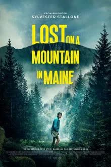 Lost on a Mountain in Maine (2024)