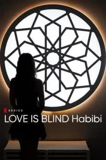 Love Is Blind Habibi Season 1 (2024) วิวาห์แปลกหน้า อาหรับ