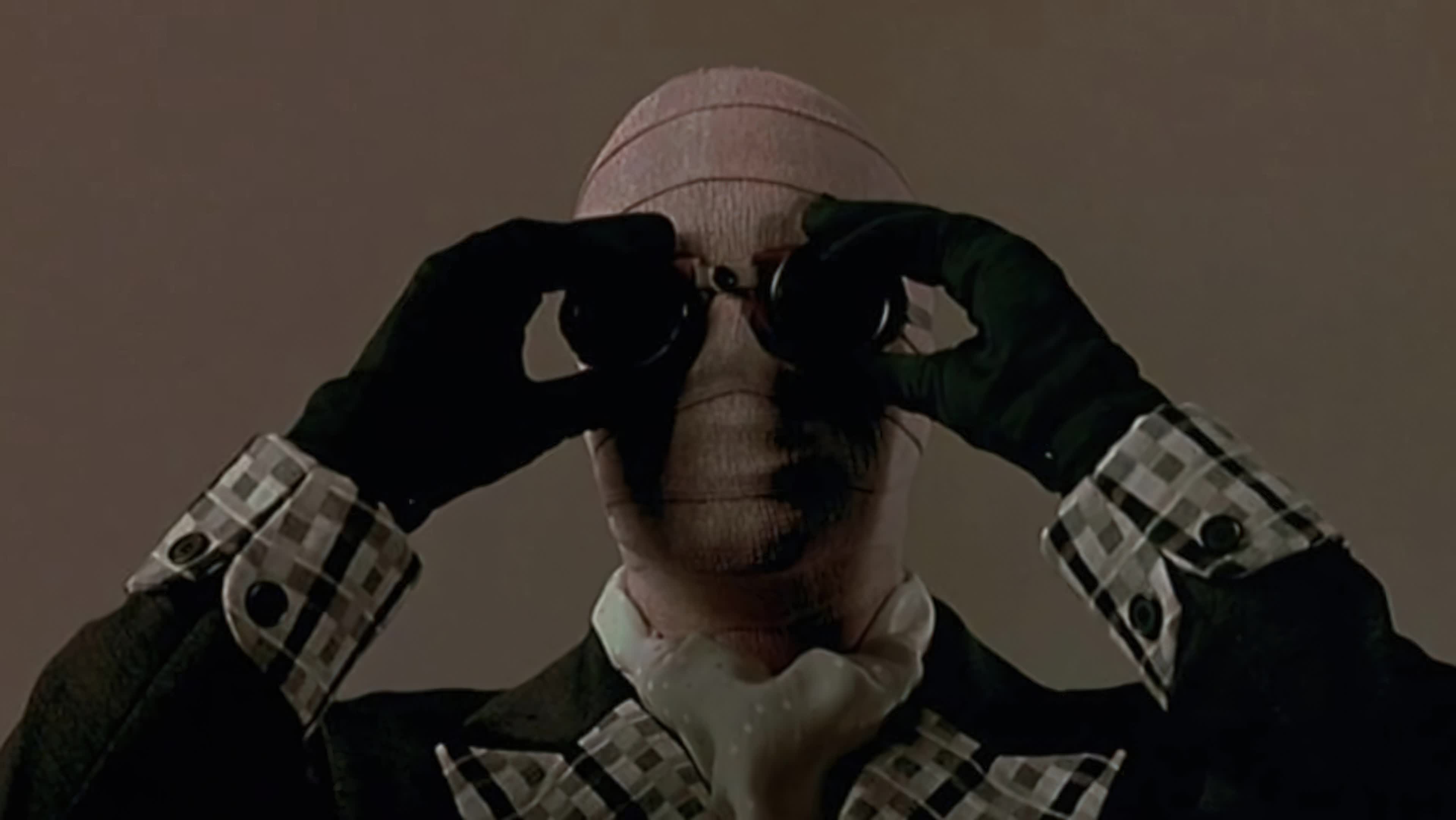 Memoirs of an Invisible Man (1992) มนุษย์ล่องหน