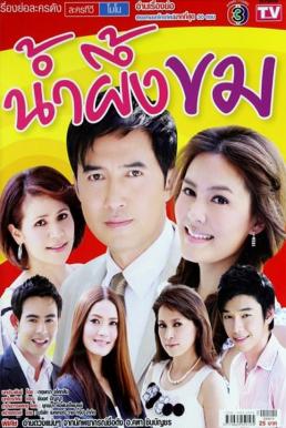 น้ำผึ้งขม EP.16