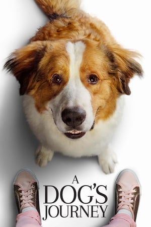 A Dog's Journey (2019) หมา เป้าหมาย และเด็กชายของผม 2 