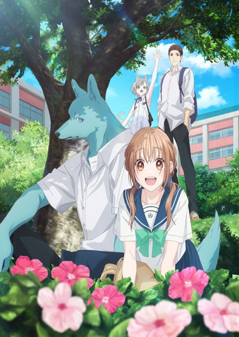 Kimi to Koete Koi ni Naru (2025)