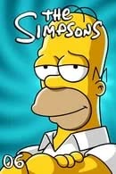 The Simpsons Season 6