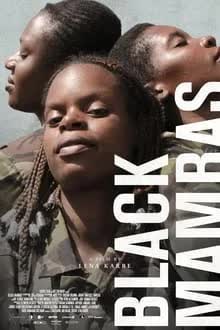 Black Mambas (2022) [NoSub]